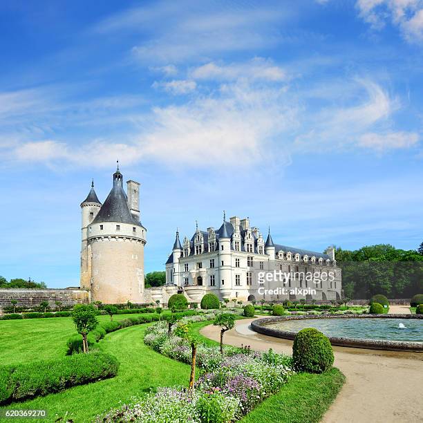 castle of chenonceau - garden centre bildbanksfoton och bilder