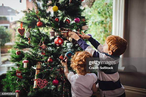 ayudar a mamá con el árbol - christmas trees fotografías e imágenes de stock