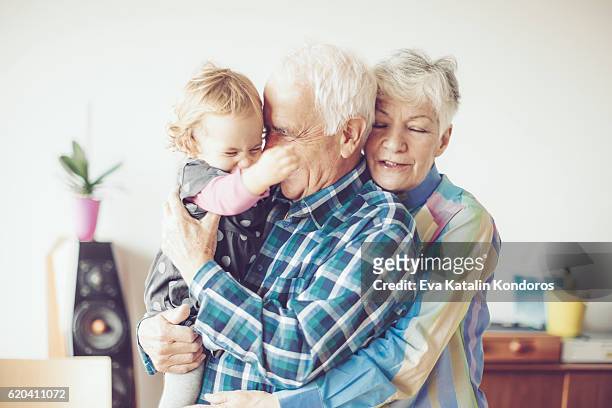 feliz retrato de família - baby grandpa imagens e fotografias de stock