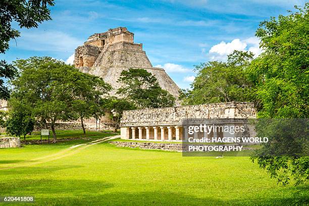 pre-hispanic town of uxmal - mayan stock pictures, royalty-free photos & images