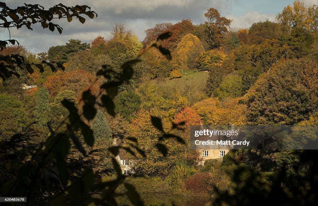 Autumn Colours Reach Their Peak In The UK