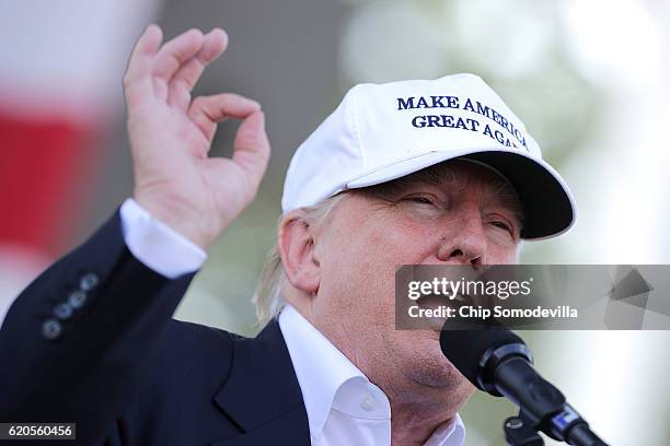 Republican presidential nominee Donald Trump holds a campaign rally at Bayfront Park Amphitheater November 2, 2016 in Miami, Florida. With less than...