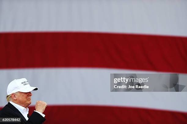 Republican presidential candidate Donald Trump speaks during a campaign rally at the Bayfront Park Amphitheater on November 2, 2016 in Miami,...