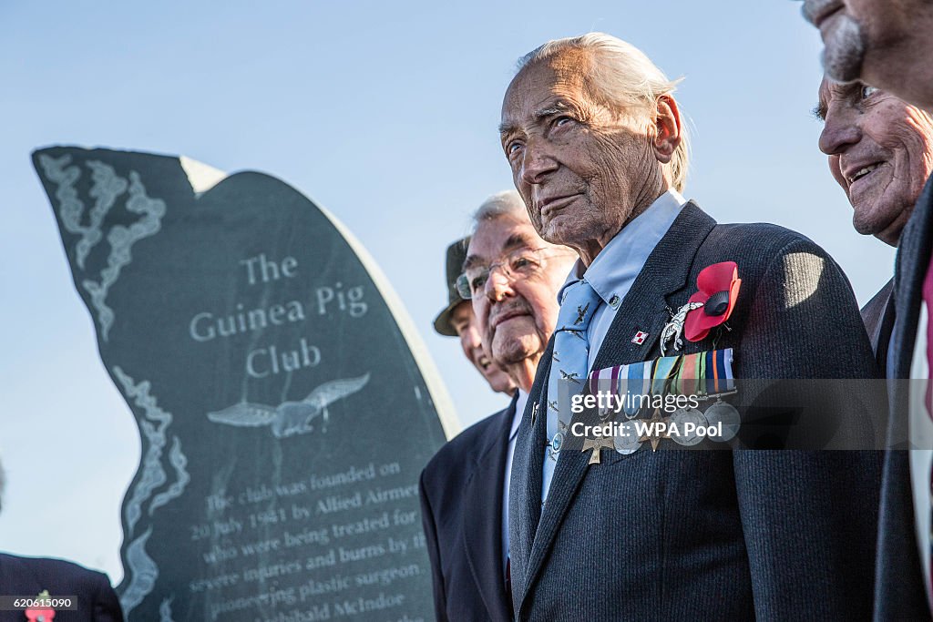 The Duke Of Edinburgh Unveils Guinea Pig Club Monument At The National Memorial Arboretum