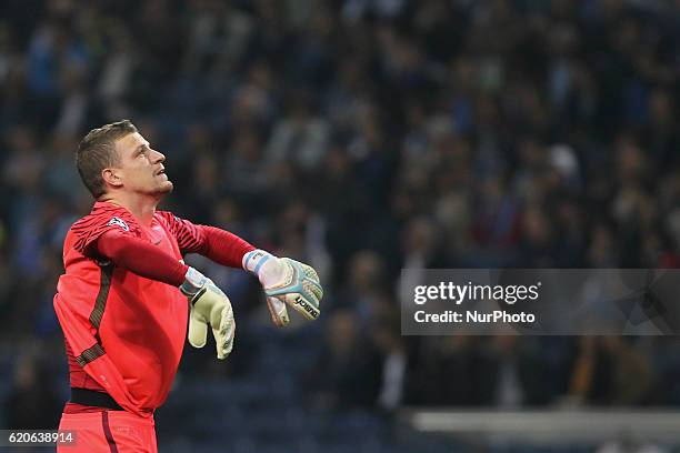 Ludovic Butelle goalkeeper of Club Brugge during UEFA Champions League Group G, match between FC Porto and Club Brugge, at Dragao Stadium in Porto on...