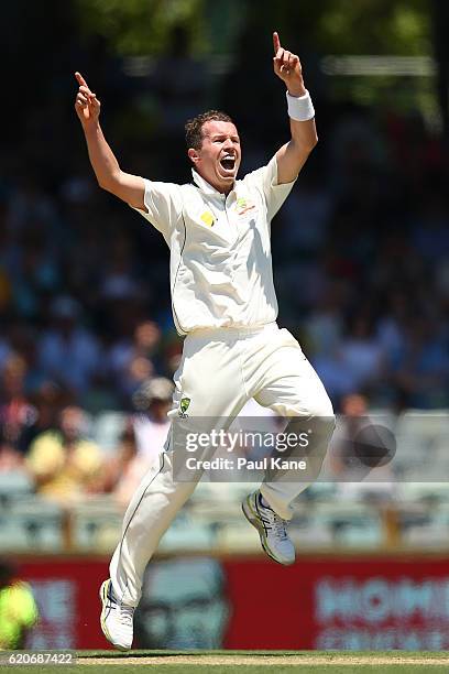 Peter Siddle of Australia appeals for the wicket of Jean-Paul Duminy of South Africa during day one of the First Test match between Australia and...