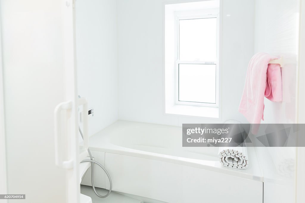 Domestic bathroom