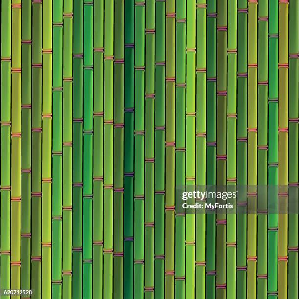 fresh bamboo poles the wall - bamboo background vector stock illustrations