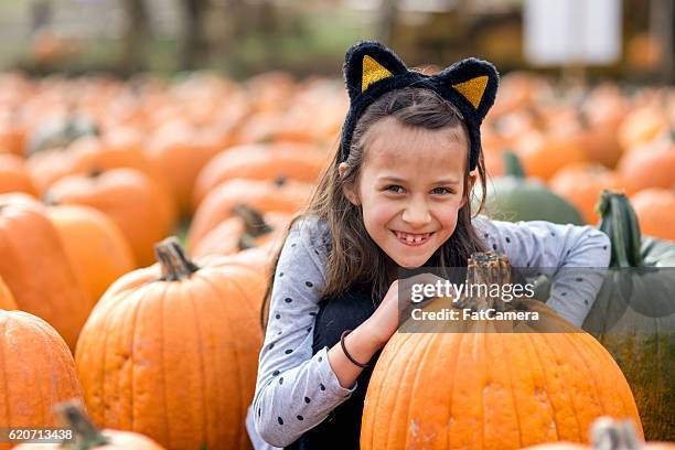 young girl in cat costume in a pumpkin patch - cat costume stock pictures, royalty-free photos & images