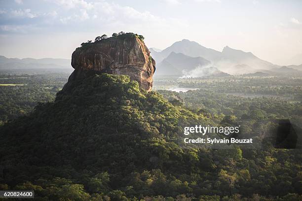 sigiriya lion's rock fortress - rock terrain stockfoto's en -beelden