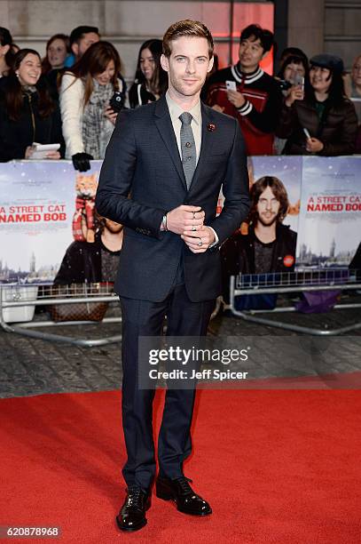 Luke Treadaway attends the UK Premiere of "A Street Cat Named Bob" in aid of Action On Addiction on November 3, 2016 in London, United Kingdom.