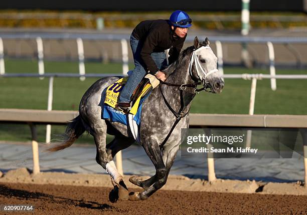 Frosted exercises during training for the Classic in the 2016 Breeders' Cup World Championships at Santa Anita Park on November 2, 2016 in Arcadia,...