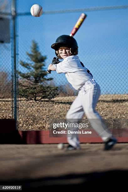 caucasian boy hitting baseball on field - child batting stock pictures, royalty-free photos & images