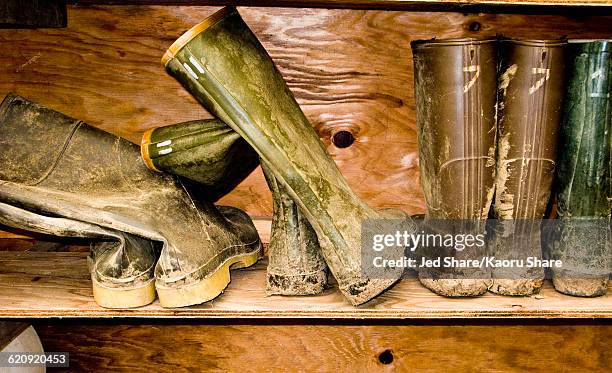 muddy rainboots on shelf - mud stock-fotos und bilder