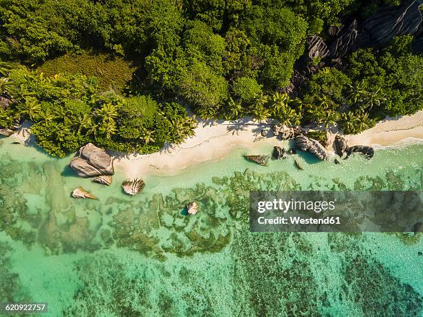 seychelles, la digue island, anse source d'argent, aerial view of beach - seychelles stock pictures, royalty-free photos & images