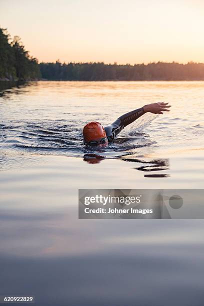 person swimming at sunset - triathlete stockfoto's en -beelden