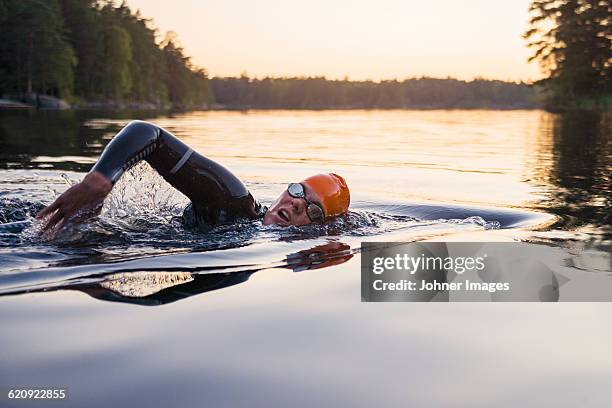 person swimming at sunset - トライアスロン ストックフォトと画像