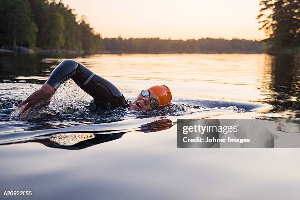 person swimming at sunset - swimming race imagens e fotografias de stock