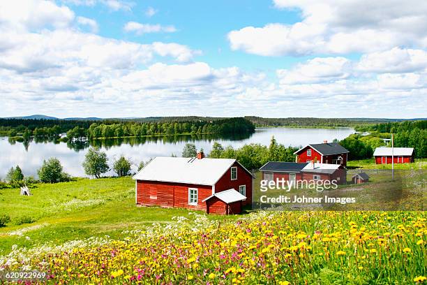 wooden houses at lake - schweden stock-fotos und bilder