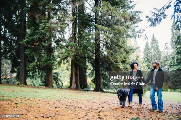 couple walking dog in park - african american couple walking park ストックフォトと画像