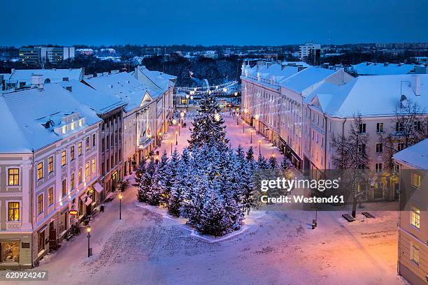 estonia, tartu, snowy christmas trees in town hall square - estonia foto e immagini stock