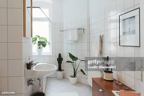 minimalist white bathroom - bathroom pot plant stock pictures, royalty-free photos & images