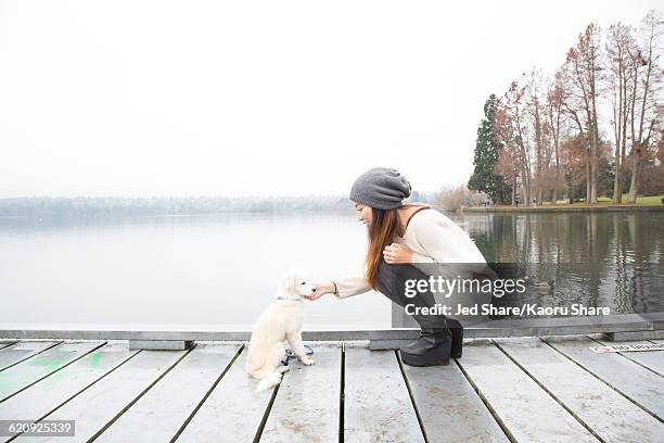 japanese woman petting dog near lake - seattle winter stock pictures, royalty-free photos & images