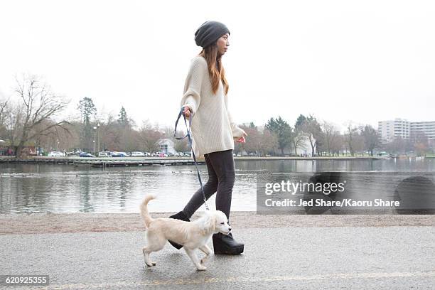 japanese woman walking dog near lake - woman side view walking stock pictures, royalty-free photos & images