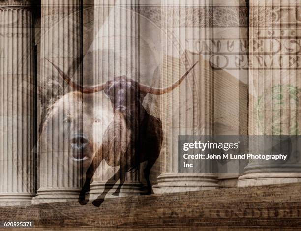 bull, one hundred dollar bill and pillars of ornate building - bull bear stock pictures, royalty-free photos & images