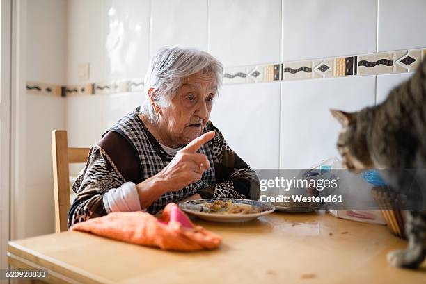 senior woman sitting at dining table scolding her cat - old woman cat stock-fotos und bilder