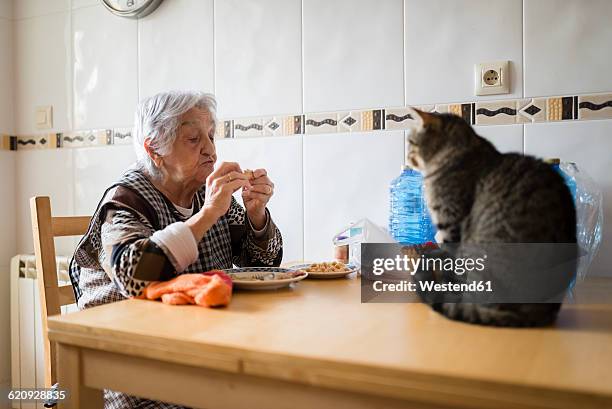 senior woman eating while the cat watching her - old lady cat stock pictures, royalty-free photos & images