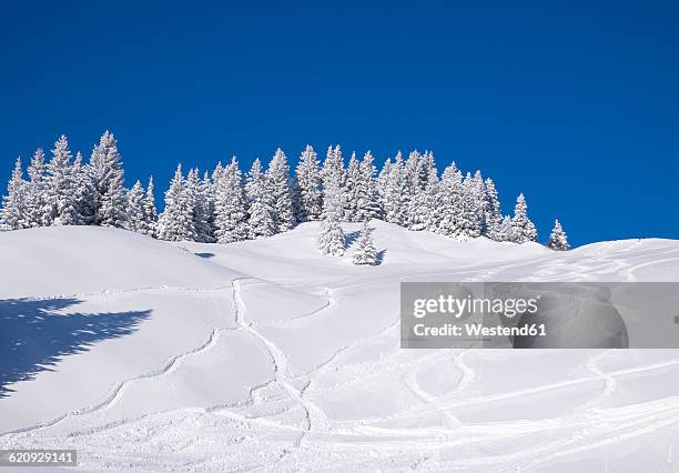germany, upper bavaria, lenggries, ski area at brauneck with ski tracks on the slope - snow slope photos et images de collection