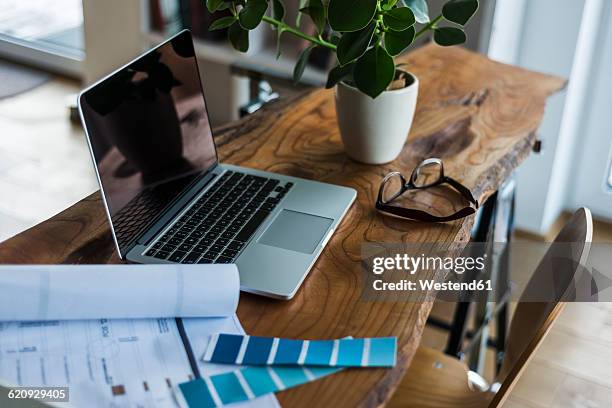 laptop, color samples and glasses on wooden desk - plante verte bureau photos et images de collection