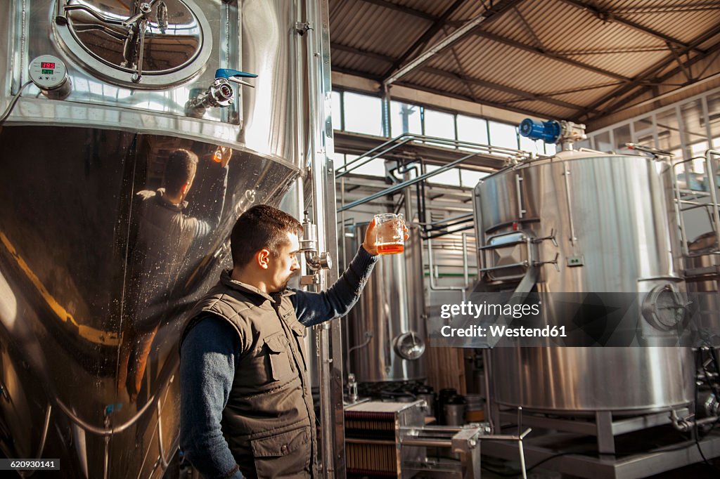 Young man working in craft brewery