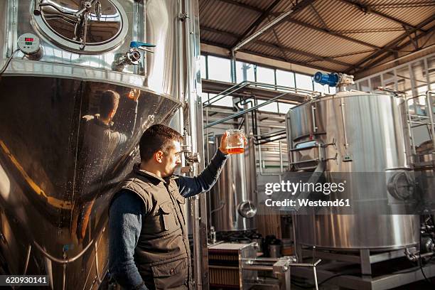 young man working in craft brewery - speciaalbier stockfoto's en -beelden