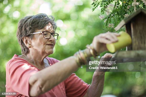 elderly lady putting birdseed in birdfeeder - bird feeder stock pictures, royalty-free photos & images