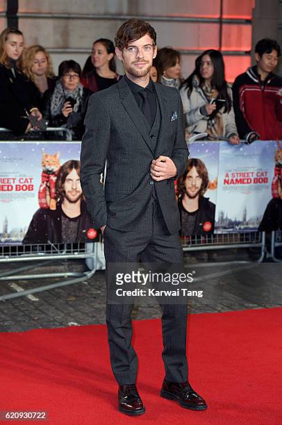 Harry Treadaway attends the UK Premiere of "A Street Cat Named Bob" in aid of Action On Addiction at the Curzon Mayfair on November 3, 2016 in...