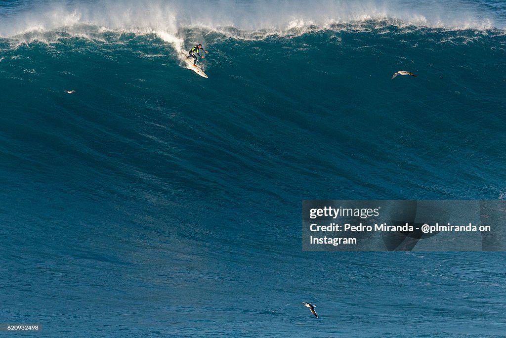 Surfer rides huge wave in Nazaré