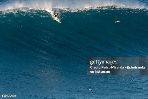 surfer rides huge wave in nazaré - surfing wave stock pictures, royalty-free photos & images