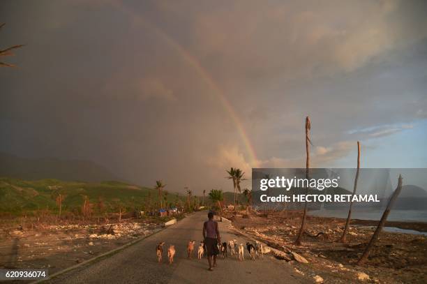 Man walks next to goats near damaged houses on the beach in the village of Damassin, in the commune of Coteaux, in the southwestern Haiti, on...