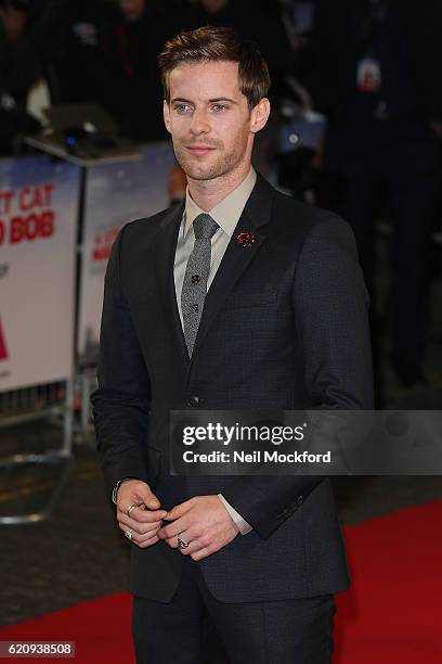 Luke Treadaway attends UK Premiere of "A Street Cat Named Bob" in aid of Action On Addiction on November 3, 2016 in London, United Kingdom.