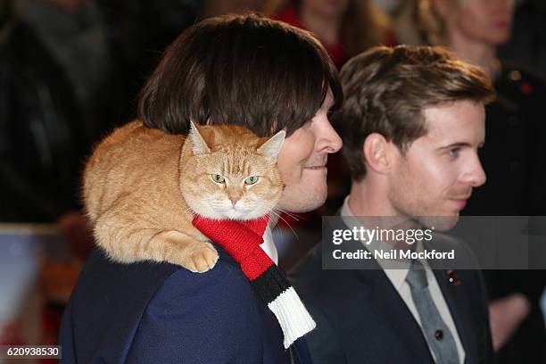 Luke Treadaway, James Bowen and Bob the cat attend UK Premiere of "A Street Cat Named Bob" in aid of Action On Addiction on November 3, 2016 in...