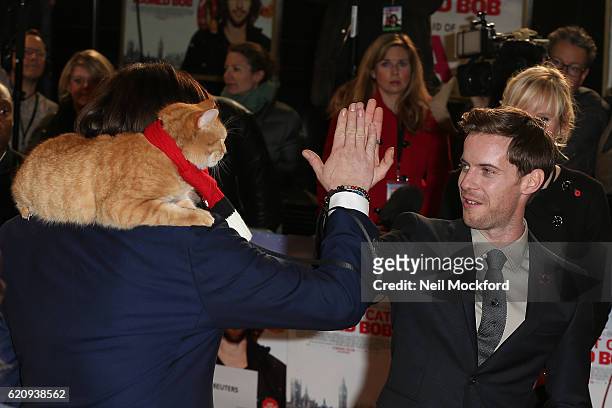 Luke Treadaway, James Bowen and Bob the cat attend UK Premiere of "A Street Cat Named Bob" in aid of Action On Addiction on November 3, 2016 in...
