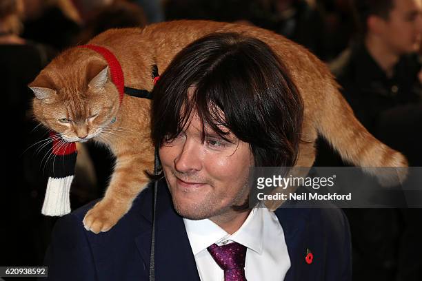 James Bowen and Bob the cat attend UK Premiere of "A Street Cat Named Bob" in aid of Action On Addiction on November 3, 2016 in London, United...