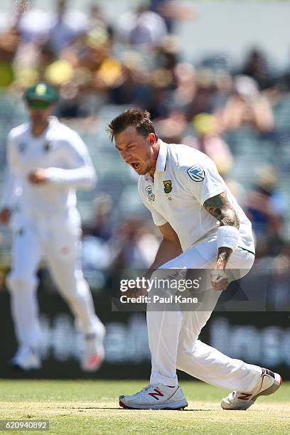 Dale Steyn of South Africa celebrates the wicket of David Warner of Australia during day two of the First Test match between Australia and South...