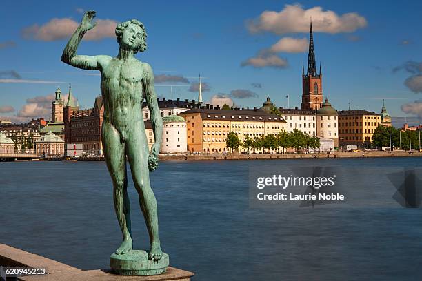 statue in stadshusparken and gamla stan - kungsholmen town hall stockfoto's en -beelden