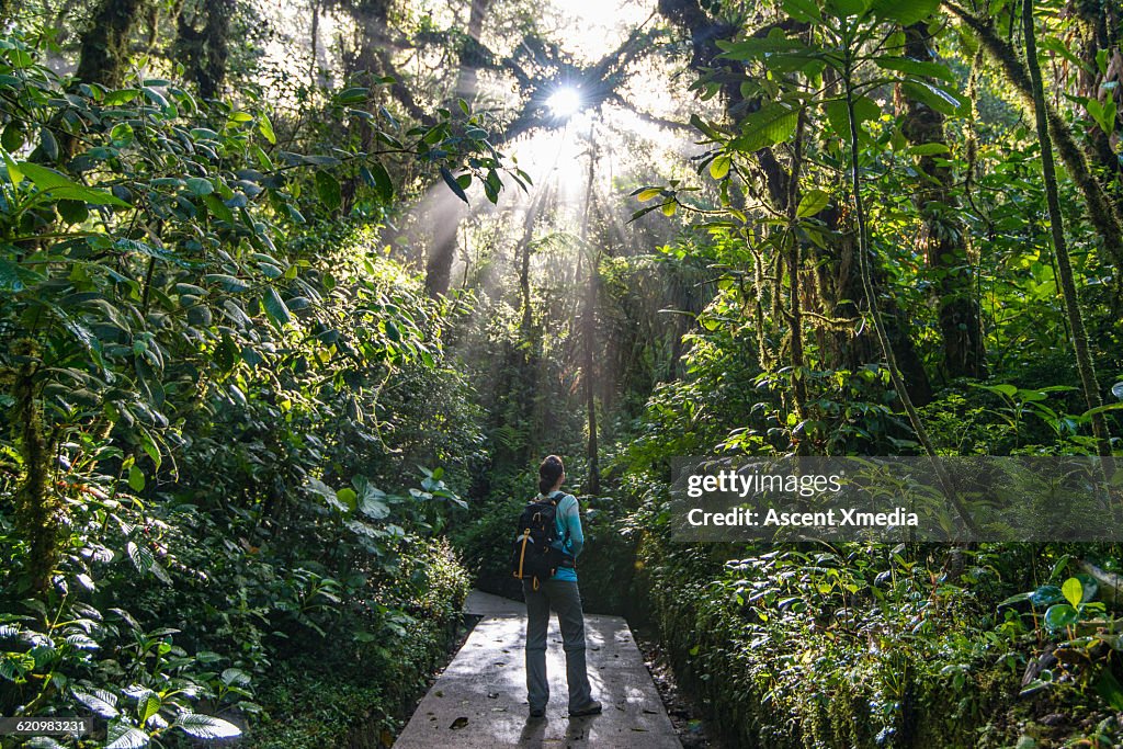 Female hiker pauses to look upwards into jungle