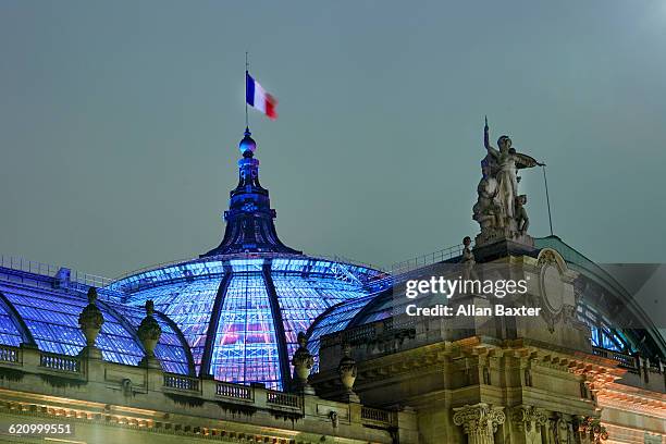 roof of the grand palaia in paris - grand palais photos et images de collection