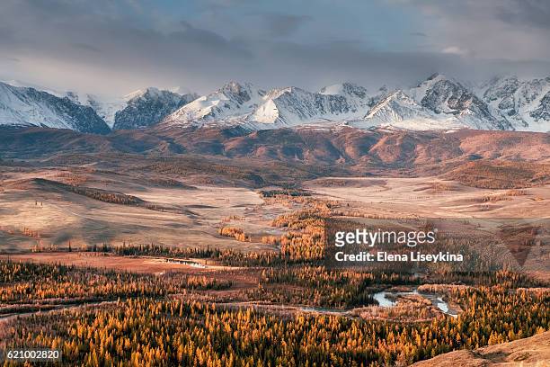 altay landscape. russia. - semi arid stock pictures, royalty-free photos & images