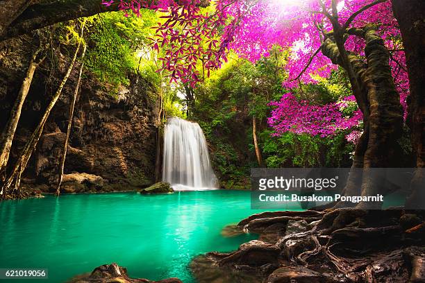 waterfall in autumn forest - tropical rainforest - fotografias e filmes do acervo